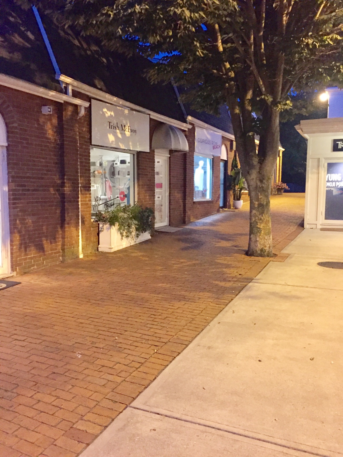 IMG 1901 (Bearbeitet)